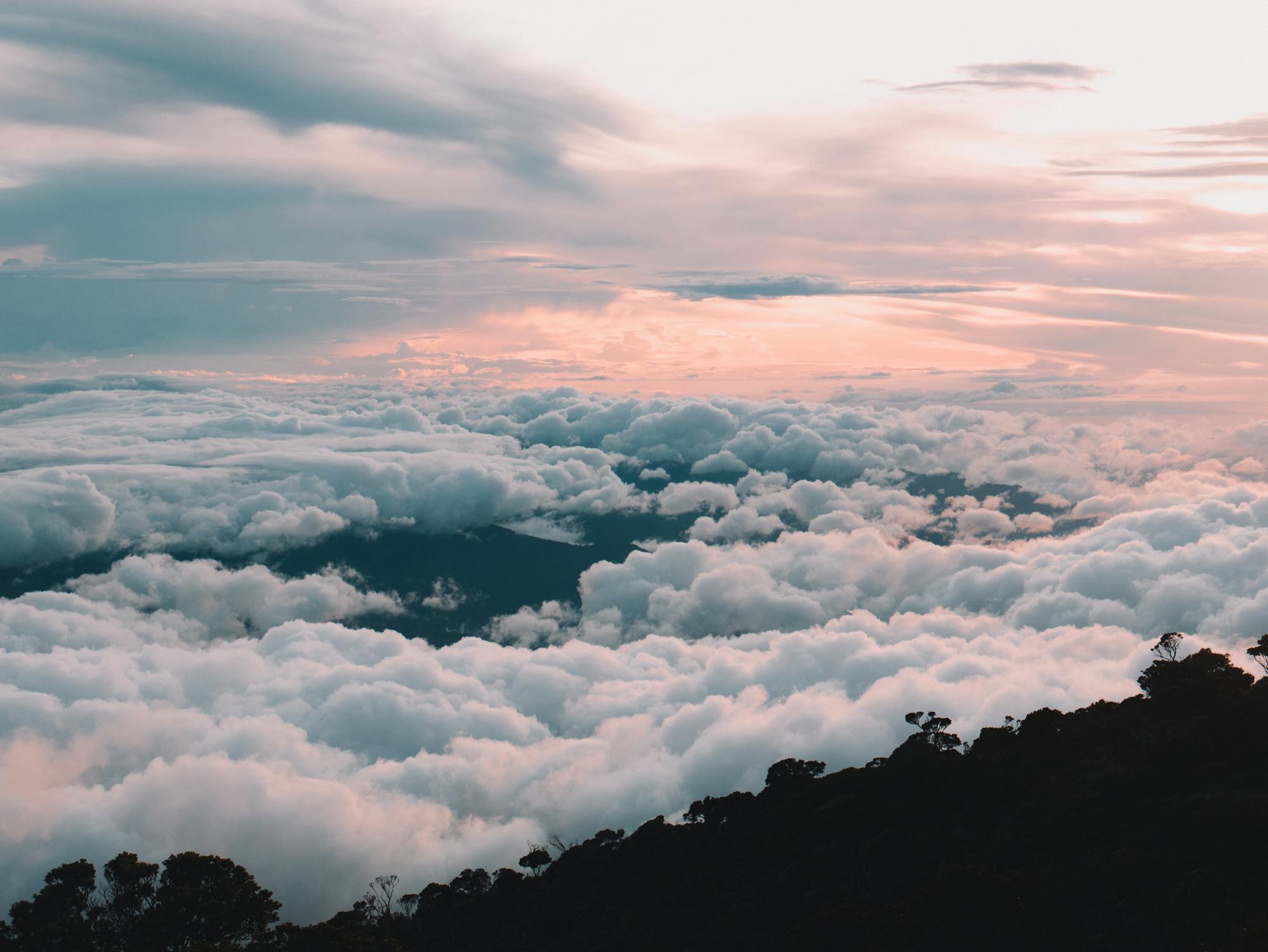 Exploring the Jungles of Borneo